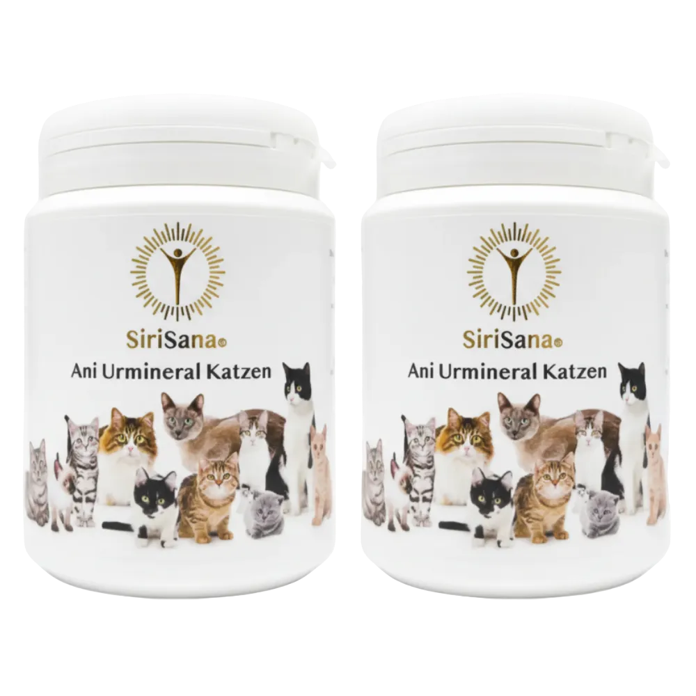 Ani Urmineral Katzen