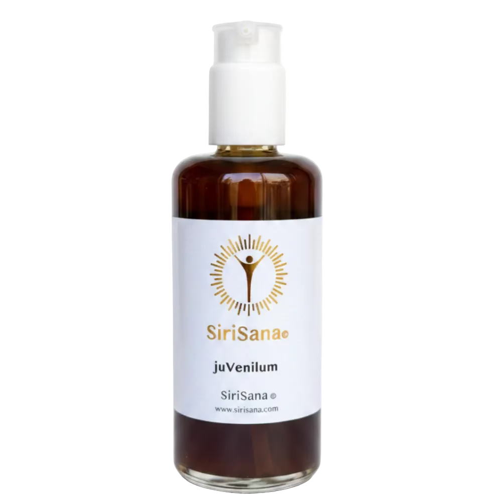 juVenilum - Chaga-Kombucha